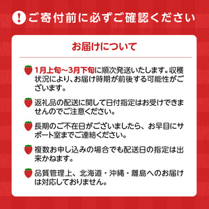 【2027年1月より順次発送】エコファーマー あまおう 約300g×4パック 計1.2kg_いちご あまおう 約300g×4パック 計1200g 甘い 美味しい 果肉 果物 スイーツ スムージー ジャ