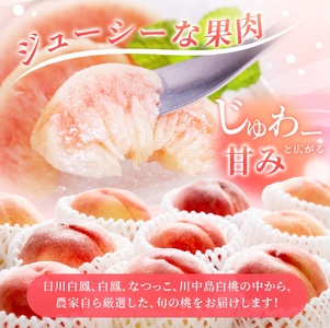 桃 極上秀品 約2kg 6～8個入【先行予約】【2025年7月末から8月末順次発送】こだわり農家厳選【KG19】【BK022-kgr】