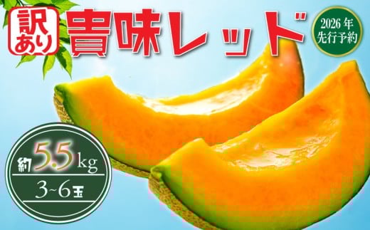 【 2026 年発送】< 訳あり メロン > 先行予約 メロン 赤肉 貴味 レッド 約5.5kg 以上 (2～6L) (約3～6玉) めろん melon タカミ ジューシ 糖度 おすすめ 高級 人気 旬 果物 くだもの フルーツ 贈り物 ギフト 贈答 産地直送 千葉県 旭市 たかの果樹園 tke004_X1