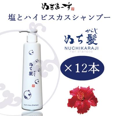 ふるさと納税 うるま市 塩とハイビスカスのシャンプー「ぬち髪」×12本