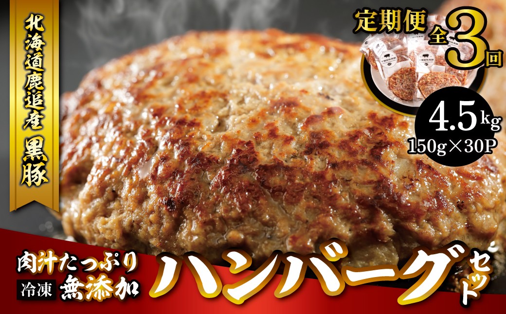 
                  鹿追産　自然放牧黒豚　肉汁たっぷり無添加ハンバーグセット　3ヶ月定期便　150ｇ×10【 ふるさと納税 人気 おすすめ ランキング 黒豚 自然放牧黒豚 ハンバーグ はんばーぐ バーグ 小分け 肉汁 惣菜 豚肉 加工肉 定期便 3ヶ月 十勝 北海道 鹿追町 送料無料 】 SKN020
                