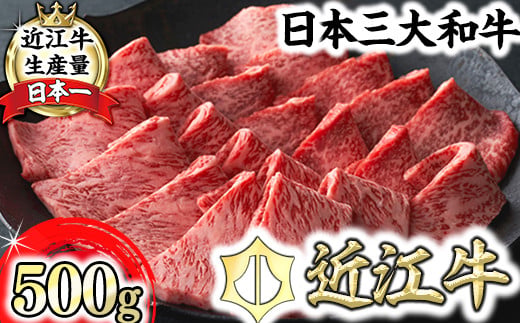【寛閑観】近江牛焼肉用『霜降り×赤身ミックス』500g（冷蔵）【FR23W】