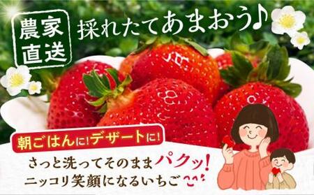【先行予約】【1月発送】農家直送 あまおう 厳選デラックスG 1080g(270g以上×4P)土耕栽培[VAB003]果物 あまおう