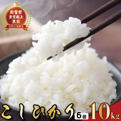 ふるさと納税 安芸市 【毎月定期便】6ヵ月連続でお届け!「コシヒカリ」定期便 10kg全6回