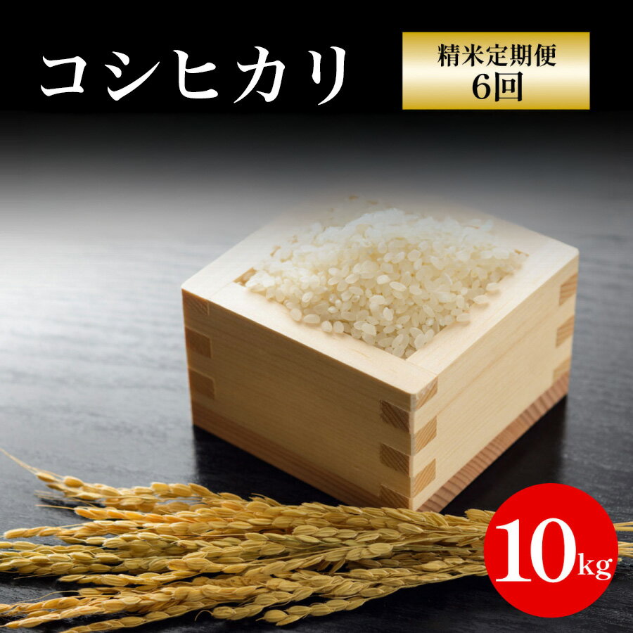 【ふるさと納税】【先行予約】令和7年産新米 定期便6回 京都丹波福知山産 10kg コシヒカリ精米 ／ ふるさと納税 精米 米 こめ ご飯 ごはん 白米 コシヒカリ こしひかり 特別栽培米 京都府 福知山市 FCCN016