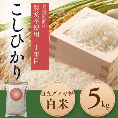 ふるさと納税 日光市 こしひかり白米5kg　日光ダイヤ舞　　栽培期間中農薬不使用1年目　◆お米◆美味しい◆精米