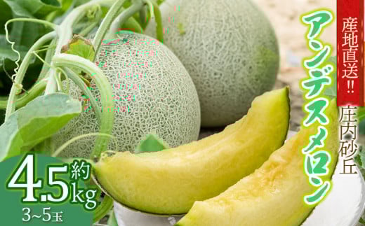 【令和7年産 先行予約】産地直送！庄内砂丘アンデスメロン 約4.5kg (3～5玉)　K-733