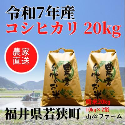 ふるさと納税 若狭町 【令和7年産】福井県若狭町コシヒカリ(1等米)20kg