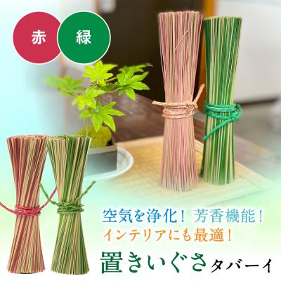 ふるさと納税 八代市 置きいぐさ(タバーイ)2本セット 赤×緑_024-4648-RG-B