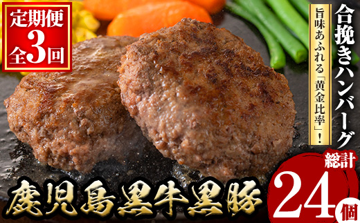 y445 ＜定期便・全3回(連続)＞鹿児島黒牛黒豚ハンバーグ(8個・計1.04kg×3回)  肉 お肉 ぶた ブタ 豚肉 牛肉 ミンチ パック 小分け 冷凍 ハンバーグ はんばーぐ 合挽き あいびき 