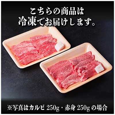 飛騨牛 厳選カルビ・赤身(焼肉・BBQ用) 1kg(各500g)　黒毛和牛　小分け　A4〜A5等級【配送不可地域：離島】【1543764】
