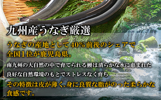 国産うなぎ蒲焼特大サイズ4尾（計800g以上）鰻蒲焼用タレ・山椒付 うなぎ生産量日本一鹿児島県産・宮崎県産・熊本県産
