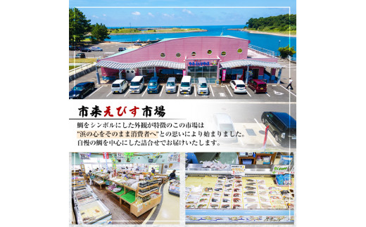 海の幸！朝獲れ鮮魚２ヵ月定期コース　市来えびす市場 鮮魚 詰め合わせ セット 直送 ボックス【00-024-02-TK】