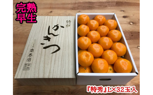 
                  年内発送 完熟早生 有田みかん 化粧箱 特秀 L サイズ 32玉入 和歌山 南泰園 みかん
                