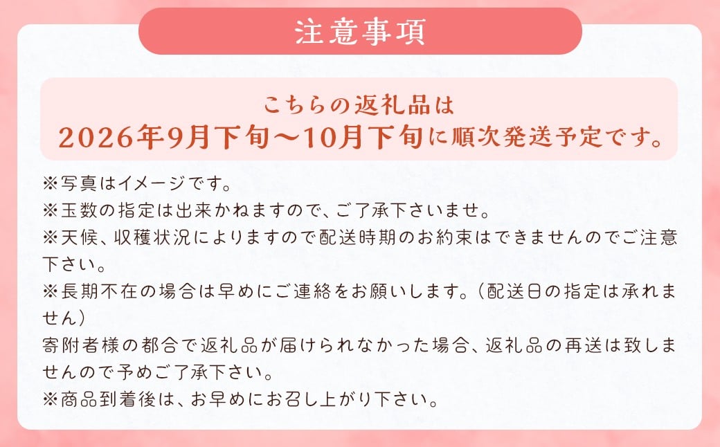 新興梨 9～12玉 約5kg ナシ 梨 福岡県産