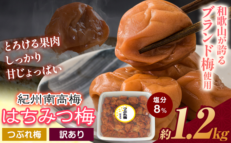 訳あり ご家庭用 とろける果肉 紀州南高梅 はちみつ梅 つぶれ梅 大容量 約1.2kg 有限会社プラム《30日以内に出荷予定(土日祝除く)》和歌山県 日高町 梅 うめ ウメ 南高梅 つぶれ梅 蜂蜜 紀州 送料無料---wsh_plm19_30d_25_11000_1200g---