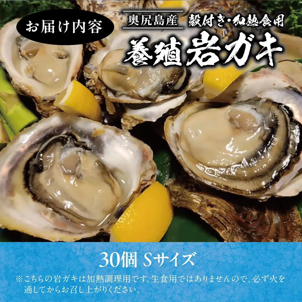 【先行予約 2025年7月20日より発送】奥尻島産養殖岩ガキ【Sサイズ】殻付き　30個入り（加熱食用）～豊かな海が育てた海の宝石～ 