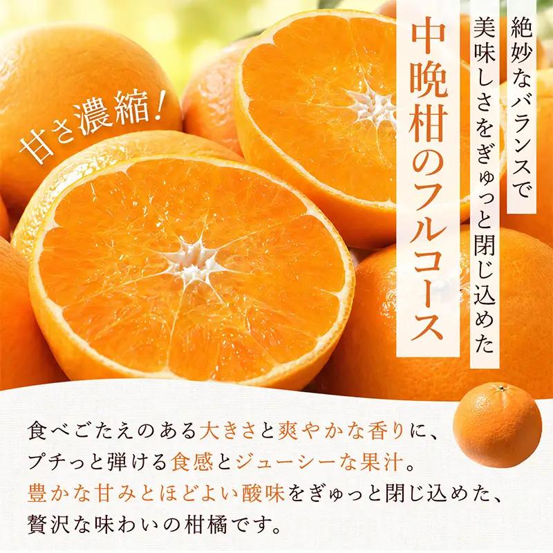 『先行予約』【令和9年3月上旬より順次発送】◎にじゅうまる◎ 5kg 佐賀県産【高級柑橘みかん】