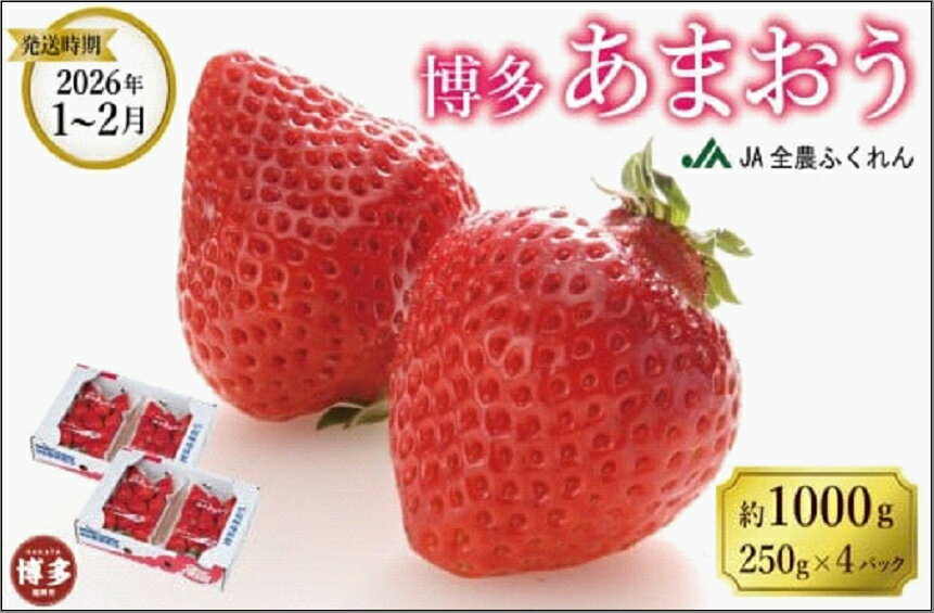 【ふるさと納税】＜2026年1月～2月発送＞博多あまおう約250g×4