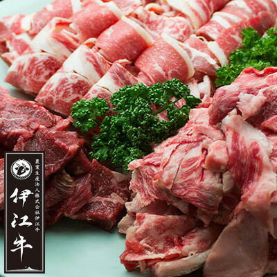 【ふるさと納税】 牛肉 伊江牛 バラエティーセット バラ 切り落とし カレー用肉 スジ肉 各500g [伊江牛 沖縄県 伊江村 ie47bde180001] 肉 切落し 和牛 黒毛和牛 バラエティ セット 詰め合わせ