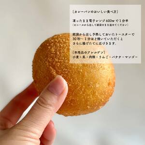 自然をほおばる こどもカレーパン 8個セット | 自家製 カレーパン お取り寄せ 冷凍 カレーパン 天然酵母 カレー 子供 カレーパン 人気 愛媛県 松山 カレーパン【SL003】