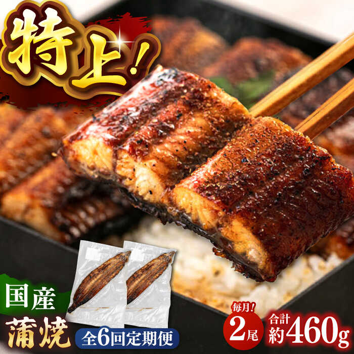 【ふるさと納税】全6回定期便 鹿児島産うなぎ 蒲焼 2尾セット（たれ付き） ▼国産 ウナギ 特大 蒲焼き 丑の日 定期便 桂川町/山水商事[ADAH013]