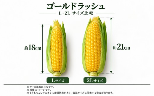 【先行予約】とうもろこし ゴールドラッシュ Lサイズ 約10kg 約28本 岩手県岩手町産 スイートコーン トウモロコシ とうきび コーン 野菜 夏野菜 産地直送 2027年発送