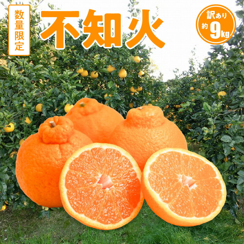 【ふるさと納税】数量限定 先行予約 訳あり 小ぶり 不知火 約 9kg フルーツ 国産 いでぽん 甘い ジューシー 柑橘類 果物 みかん 家庭用 爽やか 酸味 バランス 絶妙 果実 旬 食品 ホームパーティー シトラス サラダ カクテル 常温 お取り寄せフルーツ 熊本県 天草市 送料無料