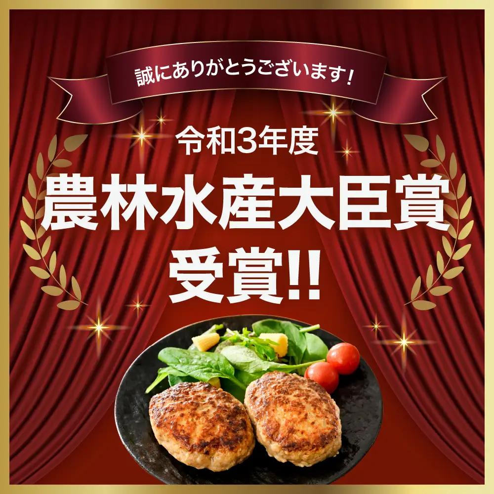 ハンバーグ 赤村養生豚100％ 8個 ハンバーグ B24