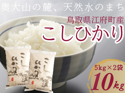 米 こしひかり5kg×2 計10キロ 鳥取県江府町産 こめ 精米 コシヒカリ 令和7年産 R7 送料無料 0909