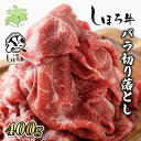 【ふるさと納税】牛肉 北海道 国産 牛 しほろ牛 切り落とし 400g すき焼き すきやき 焼肉 ギフト BBQ 赤身 北海道産 赤身肉 肉じゃが 牛丼 冷凍 大容量 自宅用 家族 贈り物 お取り寄せ 送料無料 十勝 士幌町 10000円