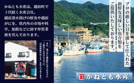 ≪浜茹で≫越前がに 中サイズ（生で900g以上）× 2杯 合計1.8kg以上 【1月発送分】食べ方しおり付【雄 ズワイガニ かに カニ 蟹 越前ガニ 姿 ボイル 冷蔵 福井県】希望日指定可 備考欄に希