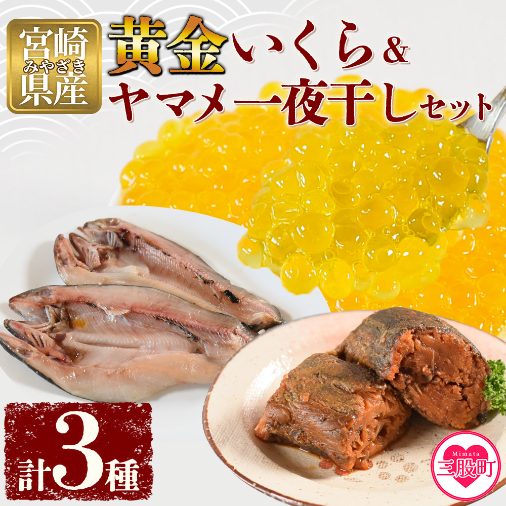 【先行予約】＜黄金イクラとヤマメ一夜干しセット＞(3種)黄金イクラやヤマメを詰め合わせ！【有限会社しゃくなげの森】【A-0203-sk】