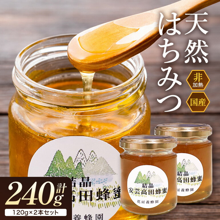【ふるさと納税】はちみつ 安芸高田はちみつ 120g×2本セット ハチミツ 蜂蜜