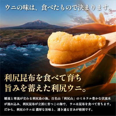 ふるさと納税 利尻町 【2026年発送受付】利尻島産 天然塩水生うに100g 利尻昆布育ちの旨みウニ(100g×1) |  | 01