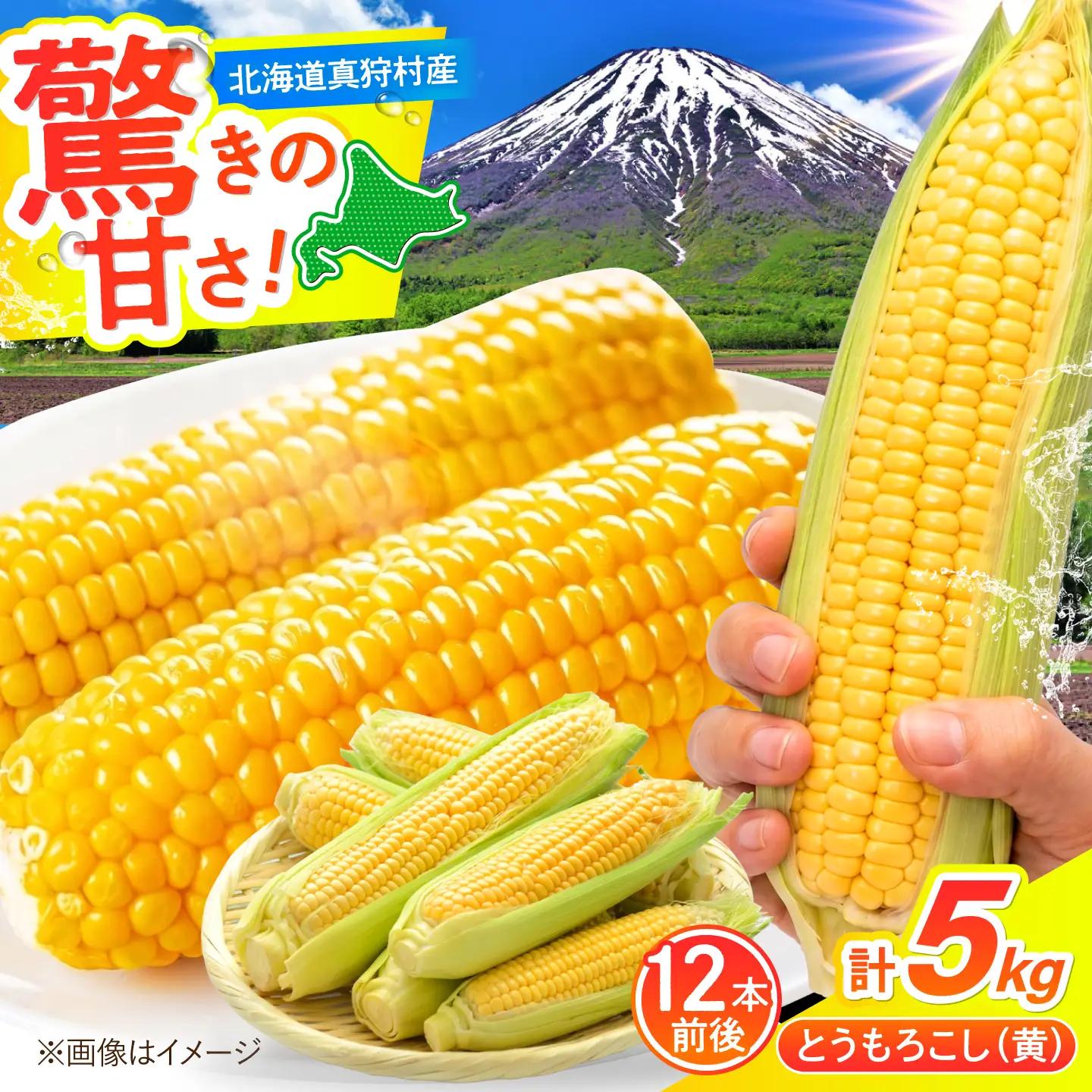【先行予約】とうもろこし 黄 5kg  [BPAM020] とうもろこし