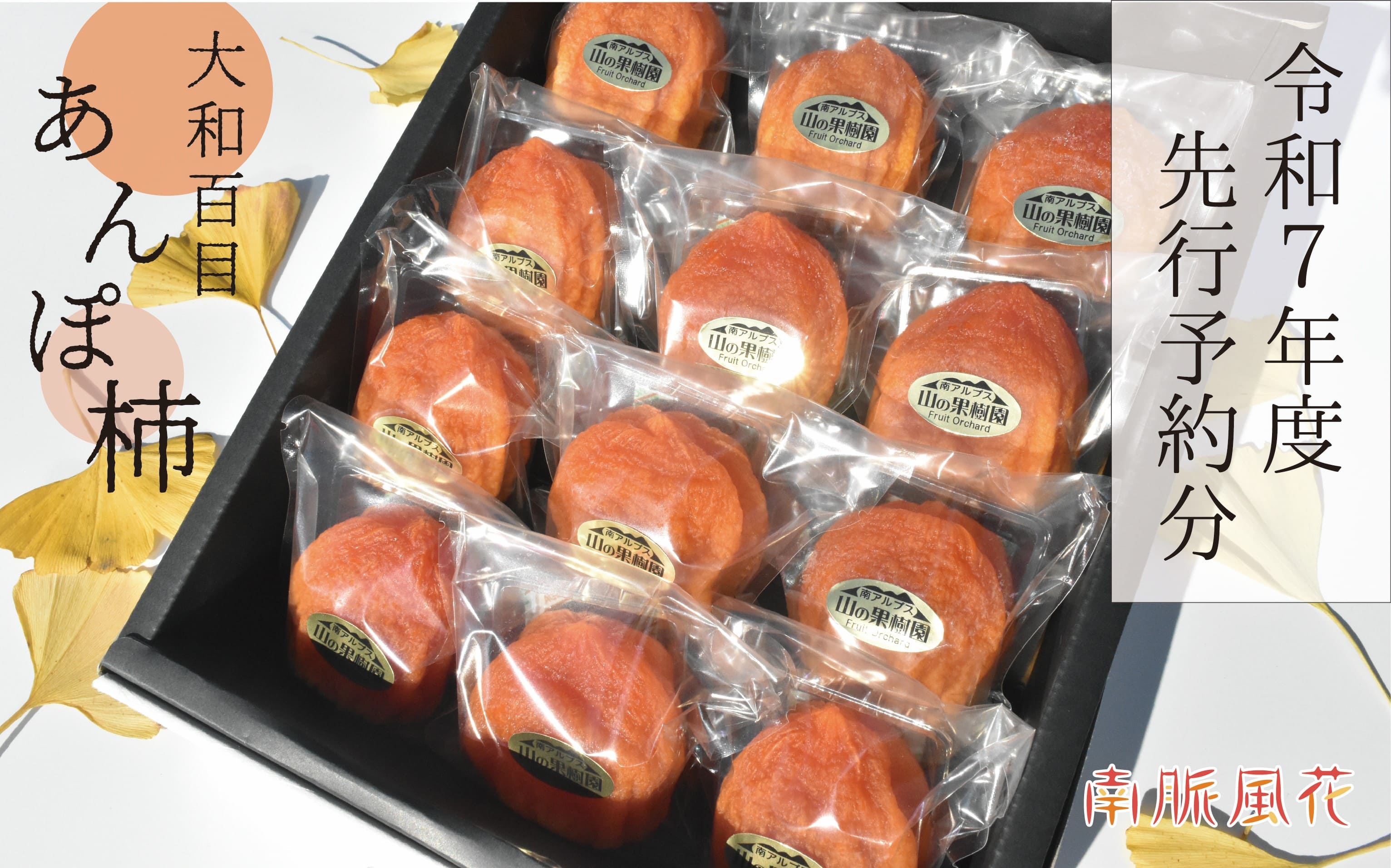 【ふるさと納税】＜2026年発送先行予約＞【無添加】大和百目あんぽ柿12個入 ALPAJ027