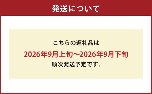 ＜ R8年熊本地震復興支援 ＞秋月梨 約5kg （6～16玉） なし ナシ 梨 くだもの 果物 果実 フルーツ 秋月 贈答用 【2026年9月上旬～9月下旬迄発送予定】
