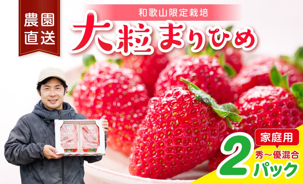 
                  大粒の贅沢！「まりひめ」を農家直送で【家庭用】2パック 【配送不可地域：北海道・青森・秋田・岩手・沖縄・離島】
                
