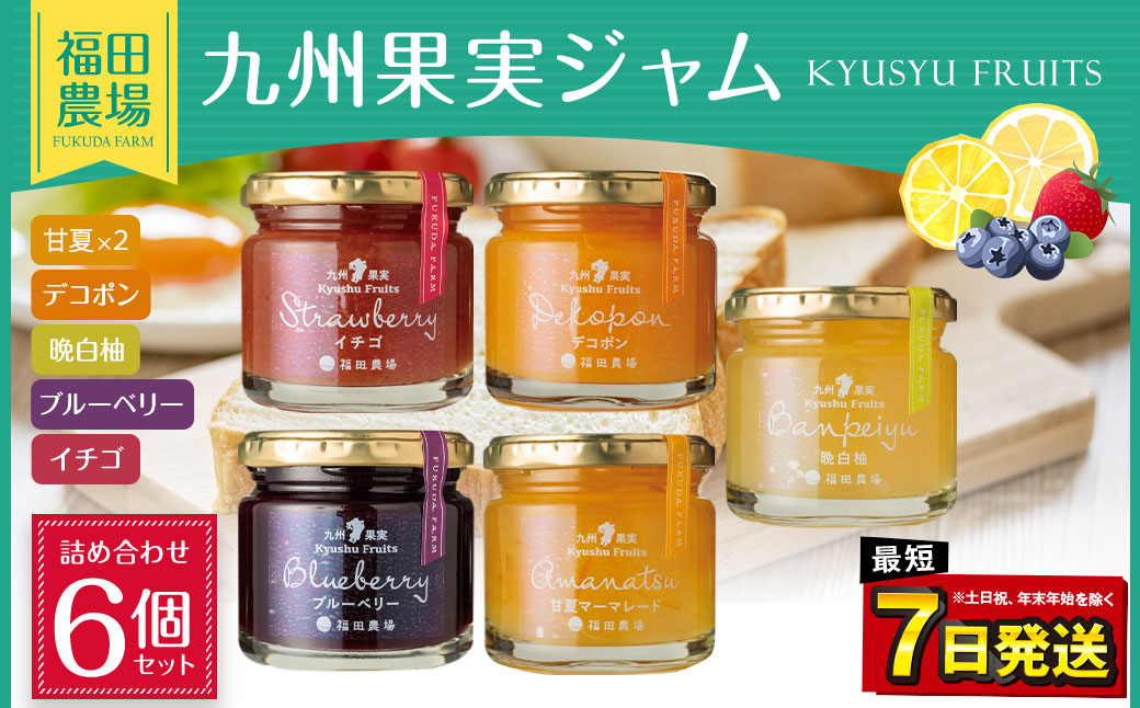 九州果実ジャム 詰め合わせ 6個セット ( 甘夏 / ブルーベリー / いちご / デコポン / 晩白柚 ) 5種 120g×6個 合計720g ジャム マーマレード 果物 フルーツ 柑橘 瓶詰 福田農場 熊本県産 水俣市