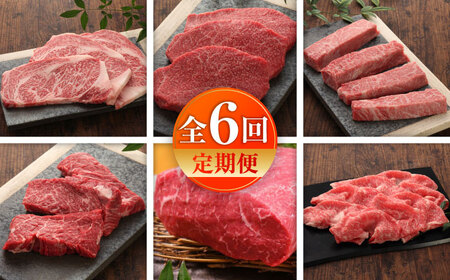 【全6回定期便】【数量限定】【GI認証】くまもとあか牛 食べ比べB / 菊陽町 あかうし 熊本県 肉 にく niku ブランド 旨み 【有限会社 三協畜産】[BHAS027]