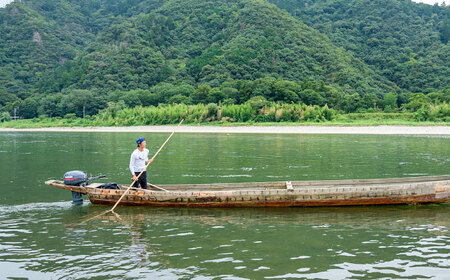 清流長良川 天然鮎 一夜干し 手作り 香魚 冷凍 岐阜市/結の舟 [ANBN002]