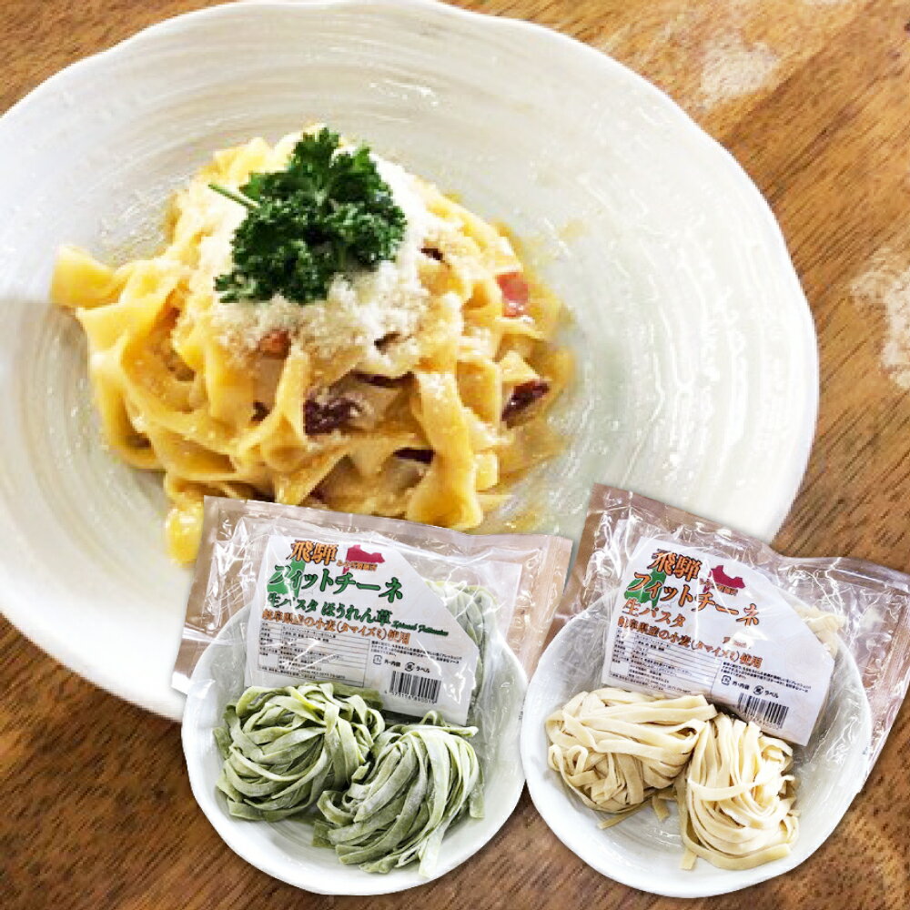【ふるさと納税】飛騨の生パスタ 計20食 20人前 フィットチーネセット プレーン ほうれん草 2種類 パスタ　生麺　みやぎ製麺所 飛騨産ほうれん草[Q381]