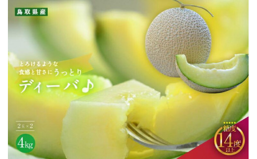 【先行予約】920.【青肉系メロン】ディーバ×２玉（1玉2kg前後×2玉）※離島への配送不可（北海道、沖縄本島は配送可能）【先行予約 メロン 果物 くだもの フルーツ メロン 旬 甘い 鳥取県 鳥取 北栄町 おすすめ 人気】