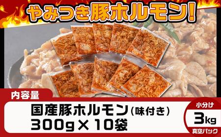 やみつき豚ホルモン!3kg!真空小分けパック!≪みやこんじょ特急便≫_AA-3307-Q_(都城市) 国産豚 ホルモン 味付き 300g×10P 3kg 小分け 真空パック 