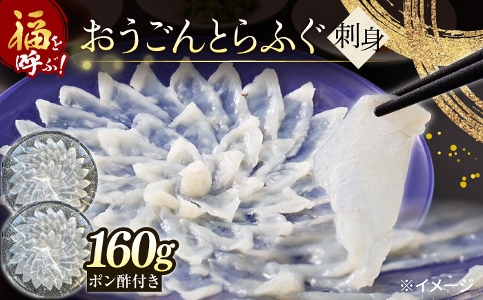 
            【高級とらふぐをご家庭で！】おうごんとらふぐ大皿刺身 合計160g（80g×2）【松永水産】 [KAB225]
          