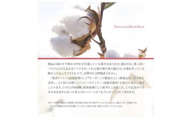 【純白（ホワイト）】 阪南コットンを使用したー匠PILLOWー 枕 まくら 寝具 コットン 枕カバー 本体