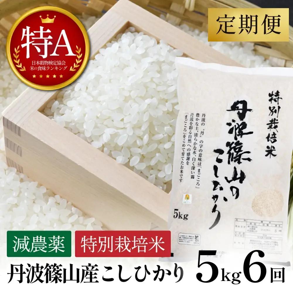 【6回定期便】特A 特別栽培米 コシヒカリ 精米 5kg 定期便