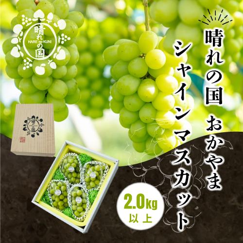 【ふるさと納税】岡山県産 シャインマスカット 2kg以上（3～4房）＜先行受付：2026年9月上旬～発送＞ | フルーツ 果物 くだもの シャインマスカット マスカット 岡山 岡山県産 国産 ギフト 贈答用 プレゼント おすすめ 人気