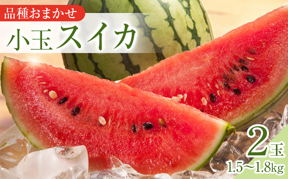 250.【先行予約】【品種はおまかせ】小玉スイカ　2玉◇　※6月上旬～8月中旬頃に順次発送予定 313726_AN045